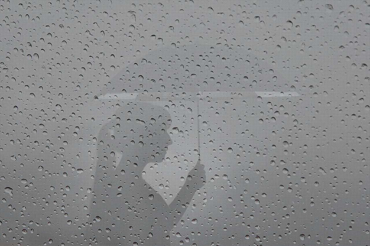 Los 15 Mejores accesorios ecos doppler para comprar