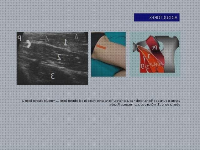 ¿Dónde poder comprar aductor aductor largo ecografía?