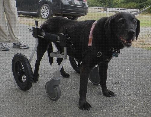 Análisis de los 19 mejores Aluminios Sillas De Ruedas Para Minusválidos Soportes Quad