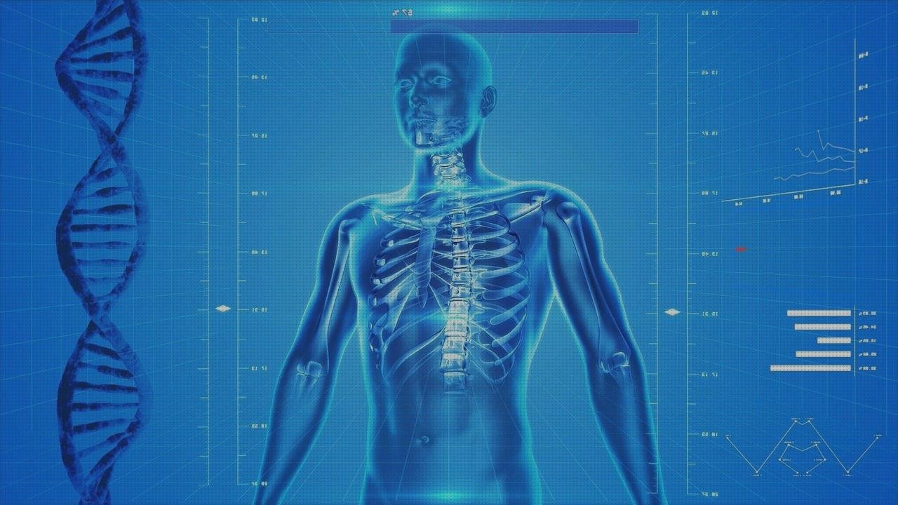 Análisis de los 4 mejores Anatomia Ecografica Abdómenes