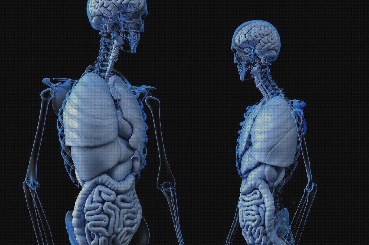 Las mejores ecografia utero anatomia ecografica anatomia ecografica codo