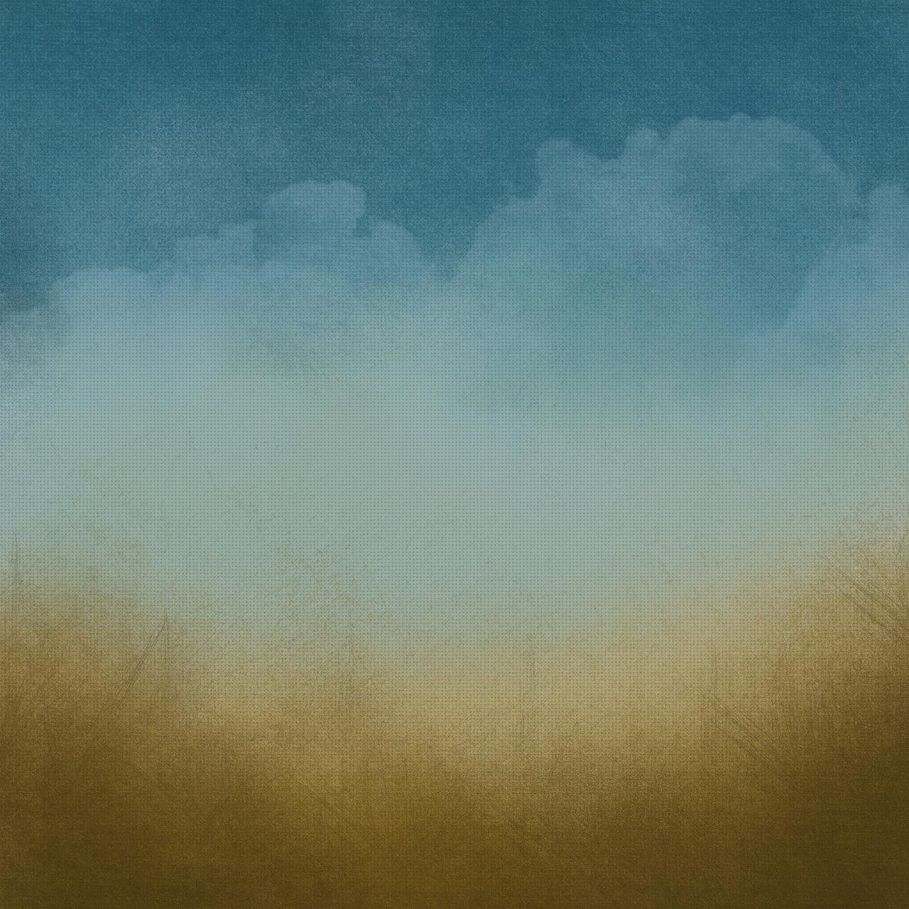 Las mejores Mas apósito carbono apósito apósito dedo pie