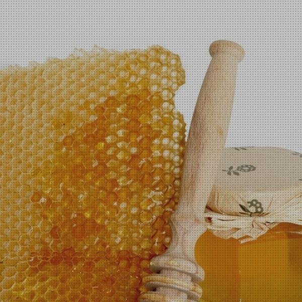 Las mejores marcas de apósito panal Mas apósito carbono apósito apósito panal de abeja