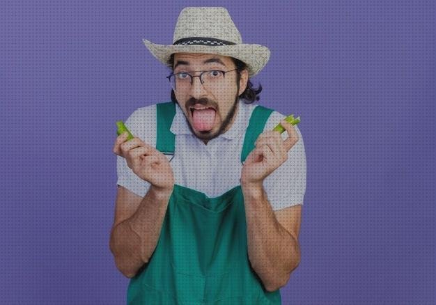 Las mejores apósitos herida apósitos apósitos azules heridas en el dedo