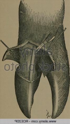 ¿Dónde poder comprar apósitos piel apósitos apósitos piel fina de mayores?