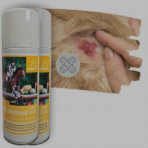 ¿Dónde poder comprar apósitos plata apósitos apósitos plata en espray?