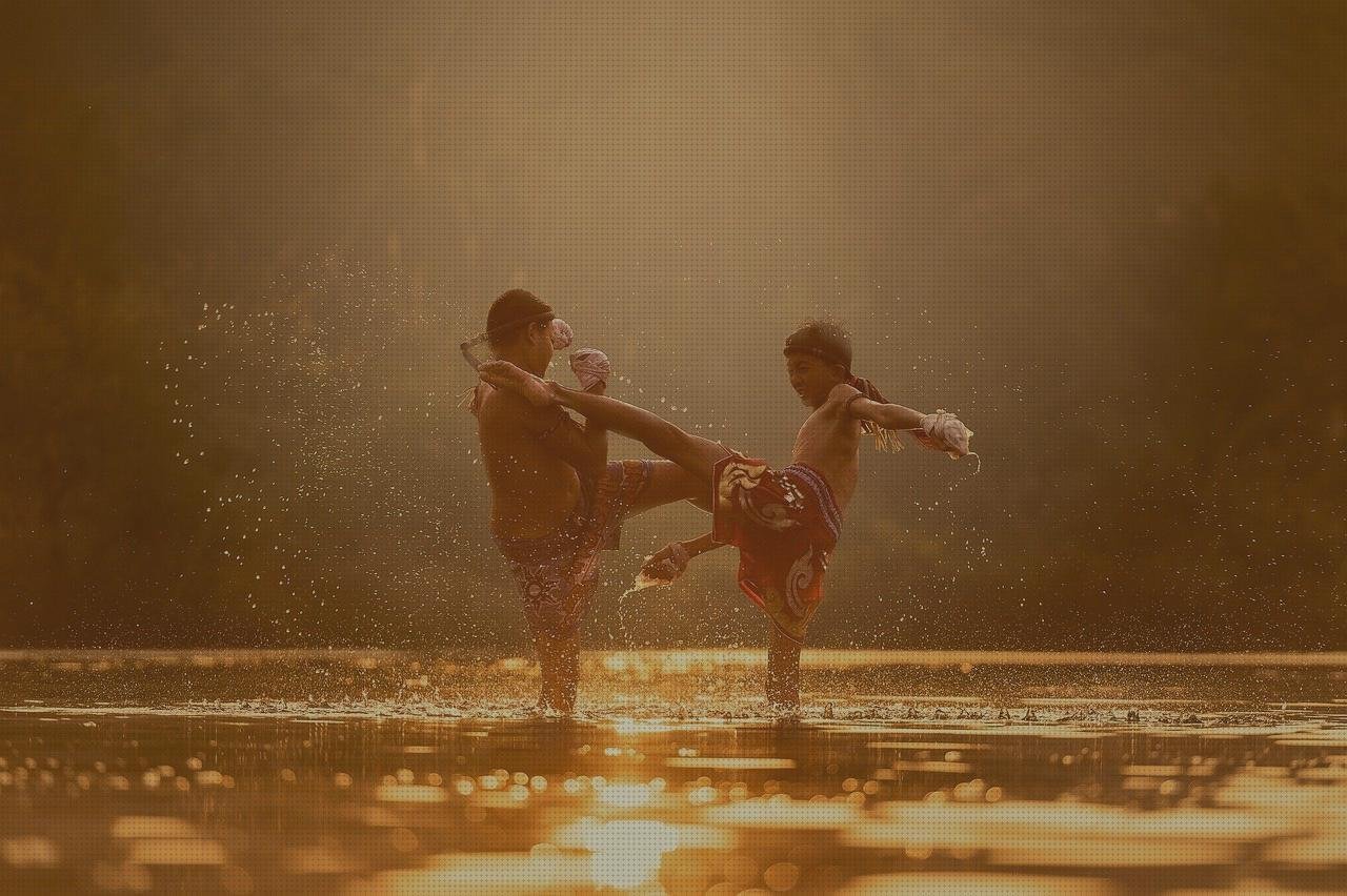 Análisis de los 23 mejores Artes Marciales Vendas Manos