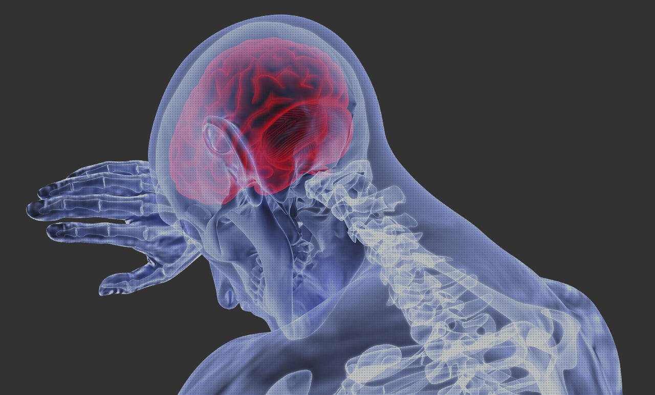 ¿Dónde poder comprar asistida?