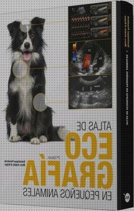 Los mejores 9 Atlas De Ecografías En Pequeños Animales
