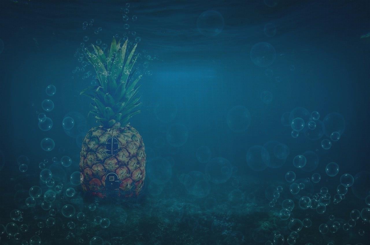 Las mejores marcas de Mas vendas cinta adesiva Mas vendas perros pata Mas vendas postoperatorias bob esponja vendas
