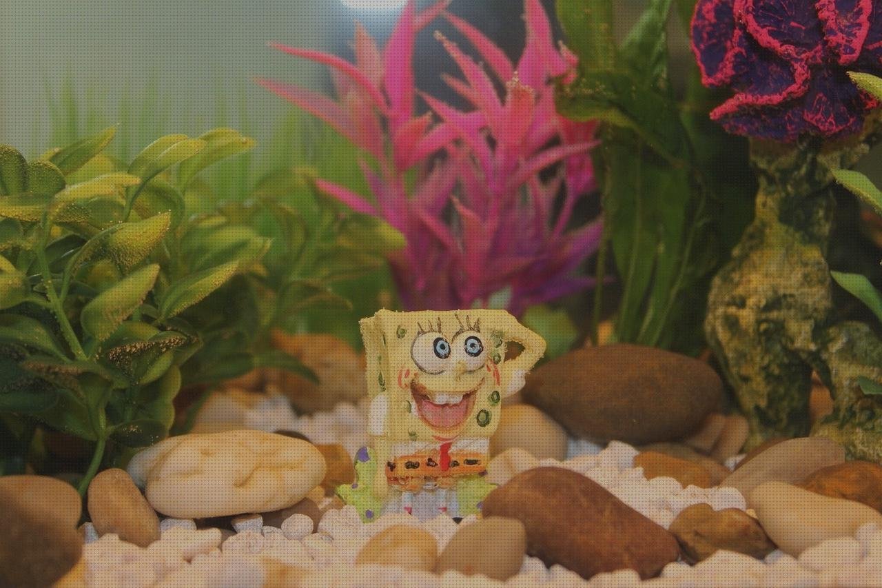 Review de bob esponja vendas