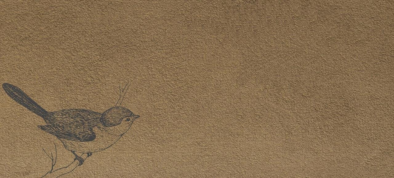 ¿Dónde poder comprar tensiometro microlife Mas apósit esteril brazalete tensiometro microlife?