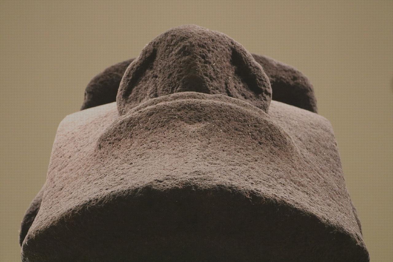 Review de british museum tijeras quirurgicas