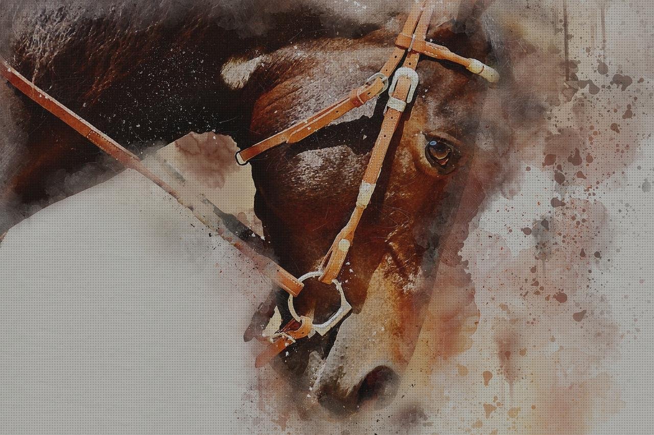 Las mejores marcas de caballo vendas vendas caballo castaño vendas turquesas
