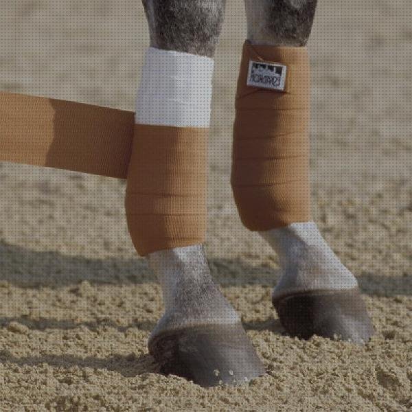 Las mejores marcas de vendas caballo vendas