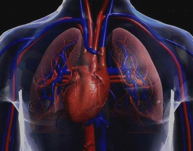 ¿Dónde poder comprar calcificaciones doppler eco doppler calcificaciones?