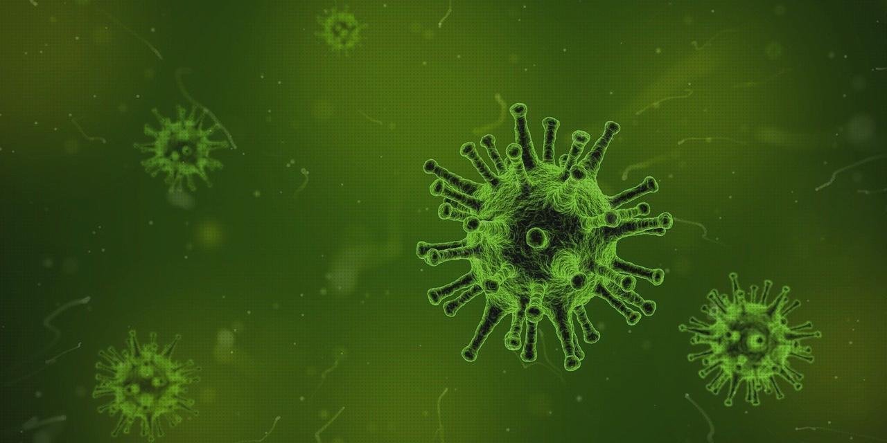 Las mejores marcas de candidiasis