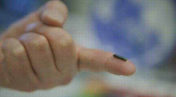 Las mejores marcas de chips