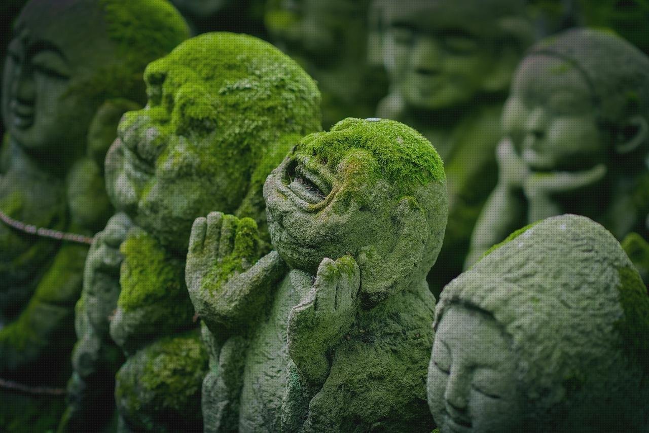 Las mejores Mas comissao brisanet vendas Mas vendas cinta adesiva Mas vendas perros pata cifra de vendas