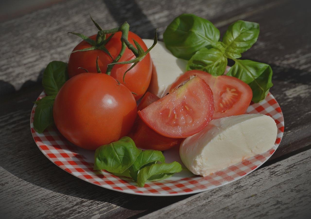 Las mejores estetoscopio cuaderno estetoscopios comida y estetoscopios