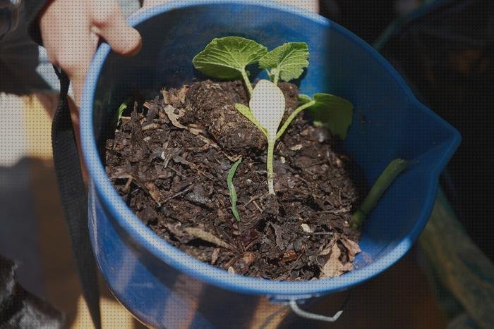 Las mejores marcas de Mas allevym apósito Mas apósito callicida Mas tensiometro digital farmacity compostor apósito