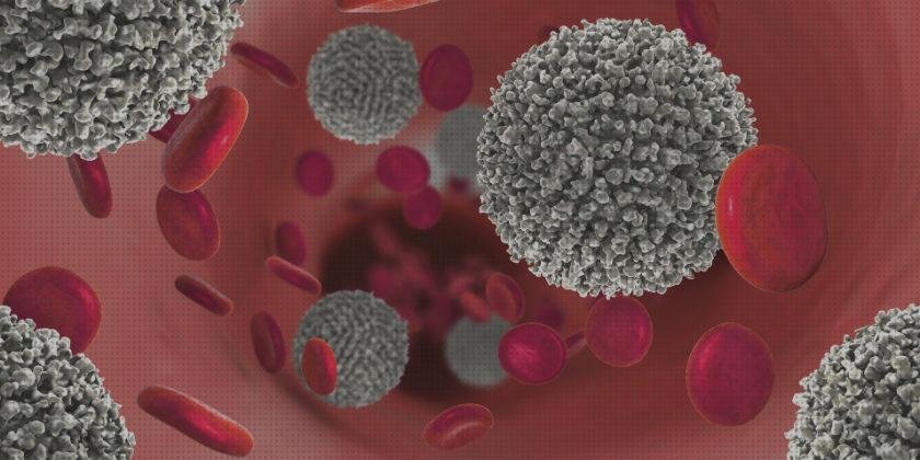 Las mejores defensas alteradas y ecografía