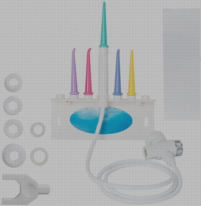 Análisis de los 23 mejores Denshine Dentales Floss Orales Irrigator Denta