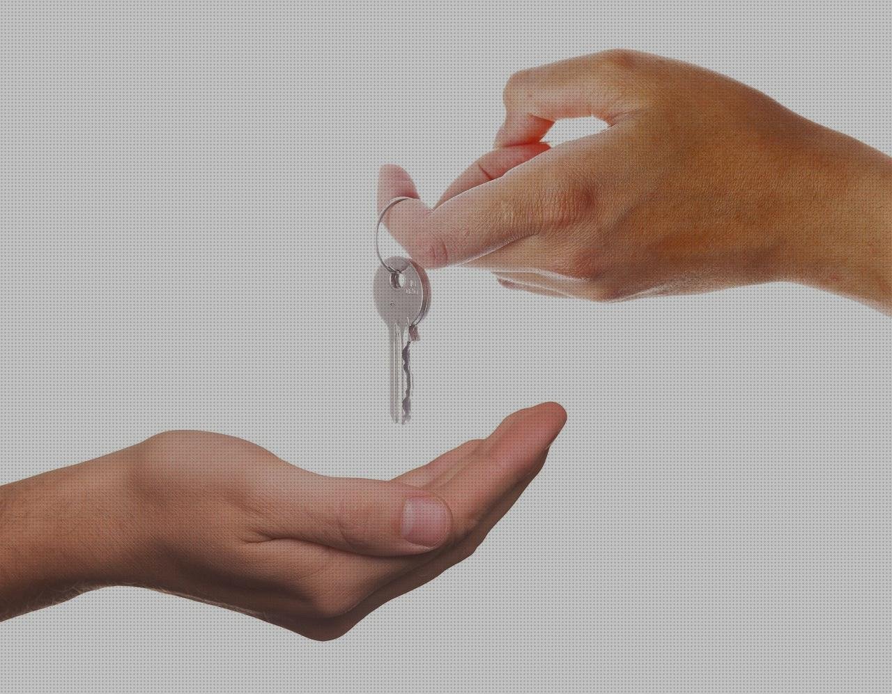 Las mejores marcas de Mas vendas cinta adesiva Mas vendas perros pata Mas vendas postoperatorias departamento de vendas