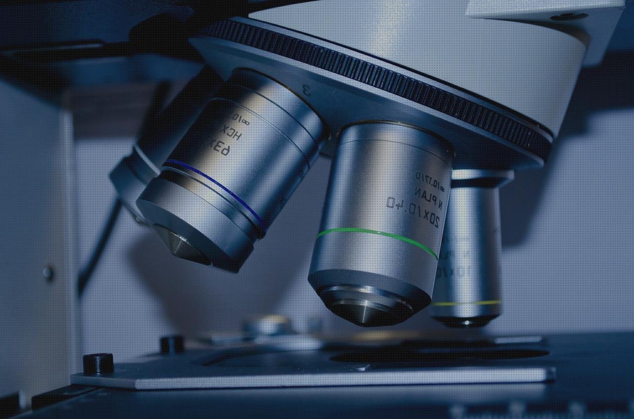 Las mejores descubrimientos