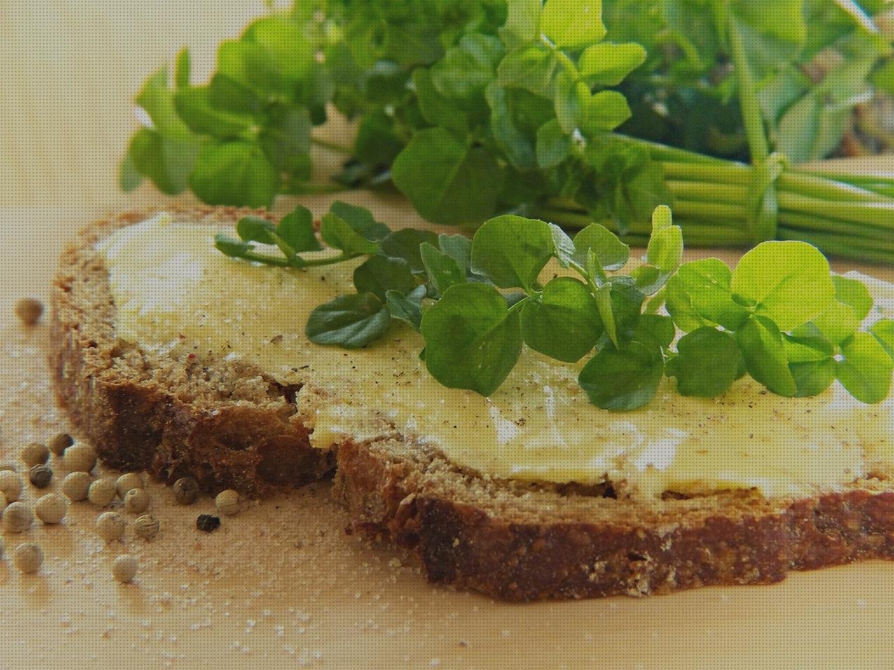 Las mejores diabetes diabetes y tensiometro