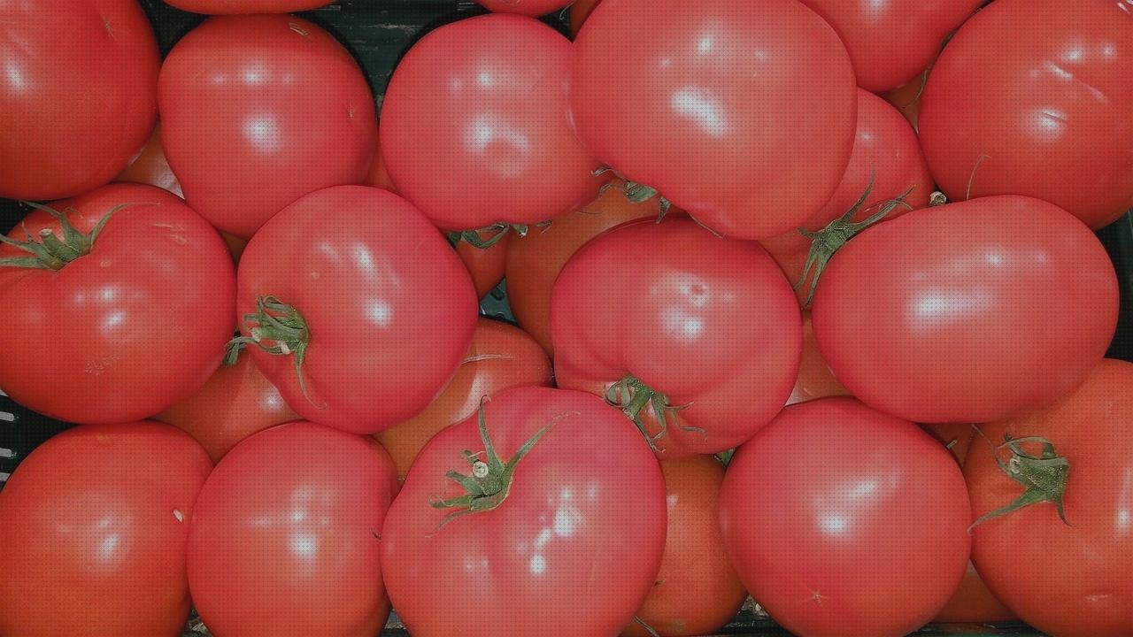 Review de diabetes y tensiometro