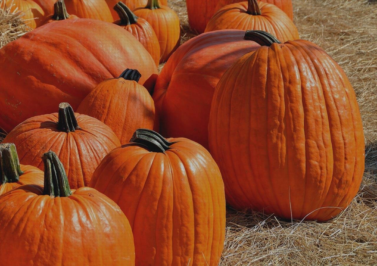 Review de disfraz halloween con vendas