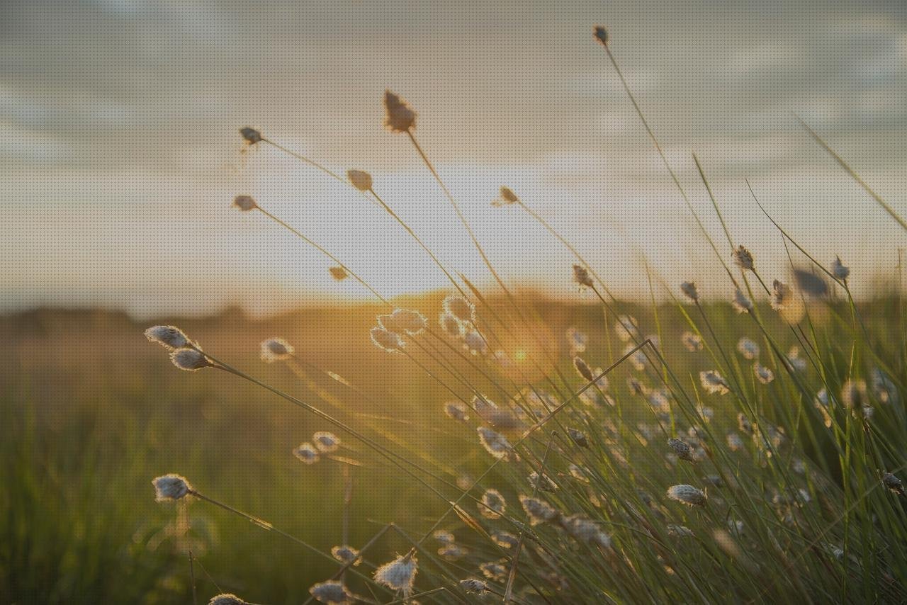 Donde comprar eco doppler obstetrico