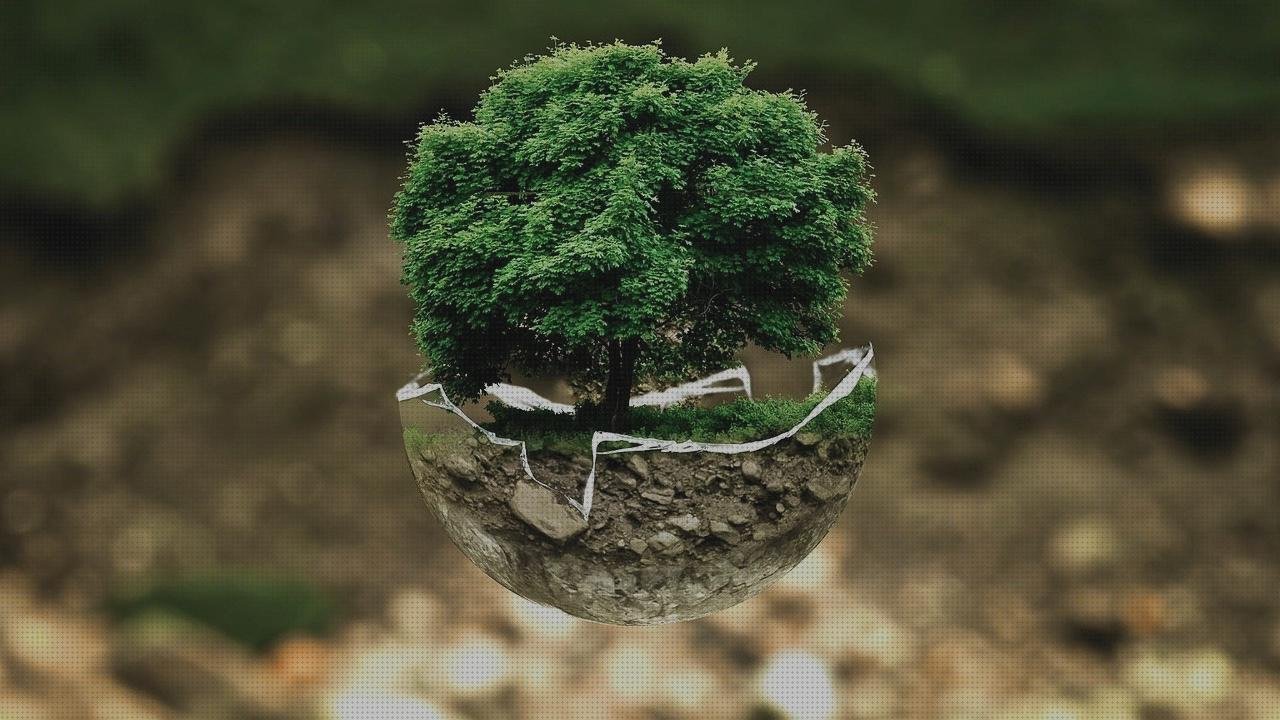 ¿Dónde poder comprar ecografia eco doppler piernas ecografía doppler eco doppler piernas?