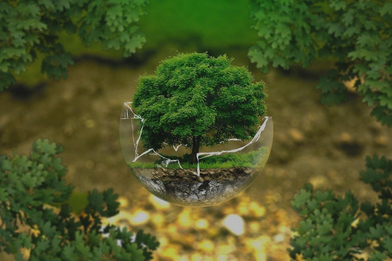 15 Mejores ecos doppler seram