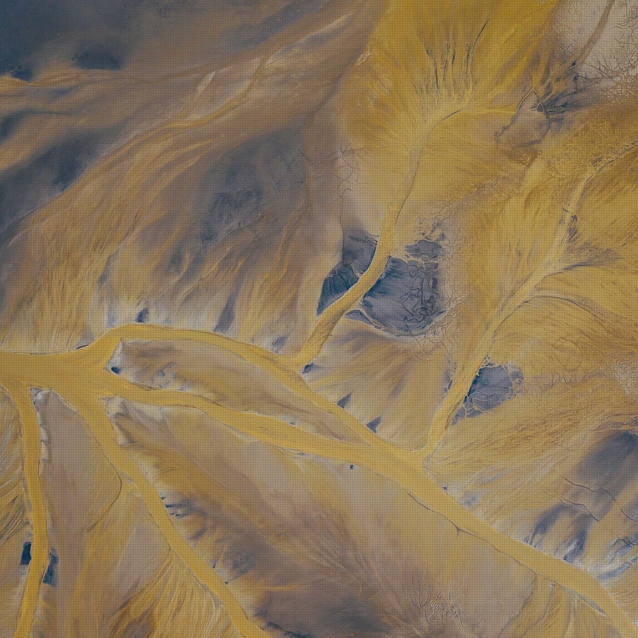 Review de eco teute dopples