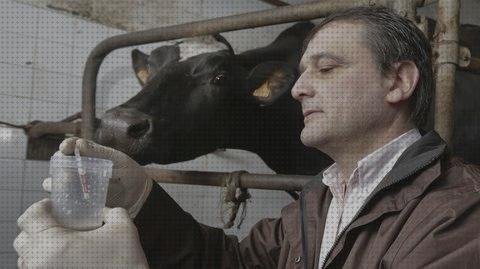 ¿Dónde poder comprar Mas ecografía segundo trimestre embarazo Mas ecografía cabeza grande Mas ecografía coneja ecografía 28 días baca lechera?