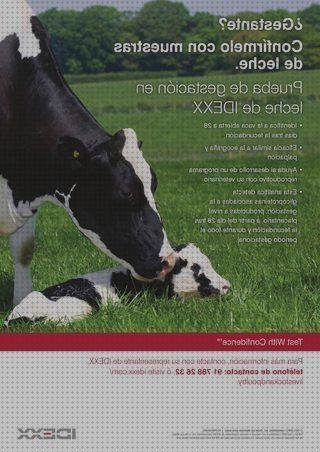 Opiniones de las 6 mejores Ecografías 28 Días Bacas Lecheras