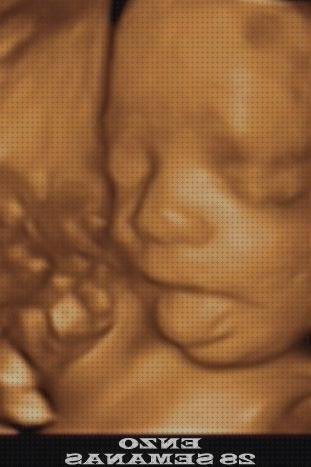 Las mejores ecografía once semanas ecografía 28 semanas niña