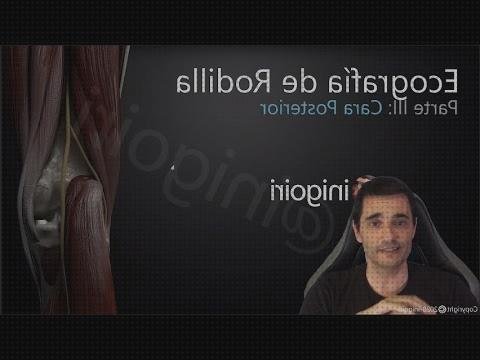 ¿Dónde poder comprar ecografía cara bebe Mas ecografía coneja ecografías ecografía de la cara posterior de la rodilla?