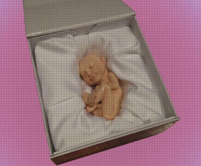 ¿Dónde poder comprar Mas ecografía coneja ecografías ecografía muñeco 3d?