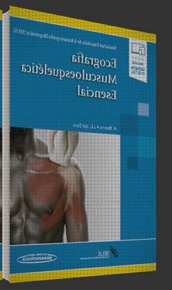 Las 10 Mejores Ecografías Musculoesquelética Esenciales Comprar