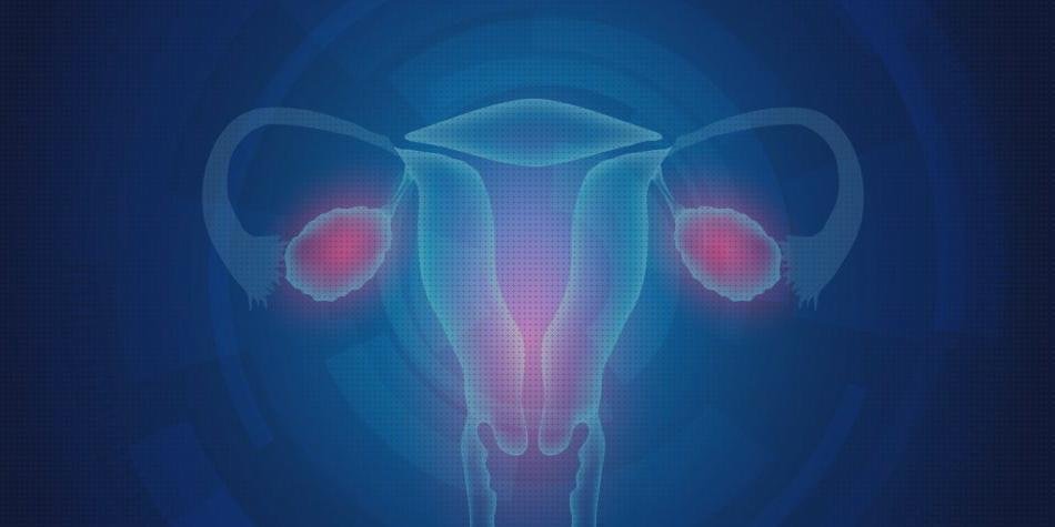 Review de ecografía por ultrasonido crucigrama