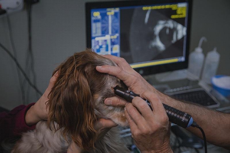 Opiniones de oculares ecografos ecógrafo ocular