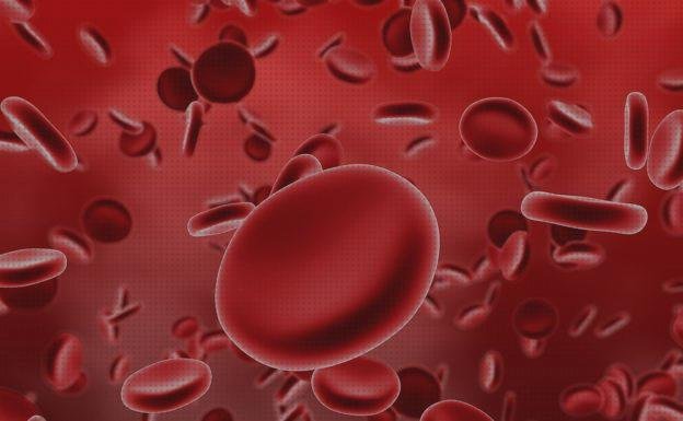 ¿Dónde poder comprar ecografos ecografo rojo azul sangre?