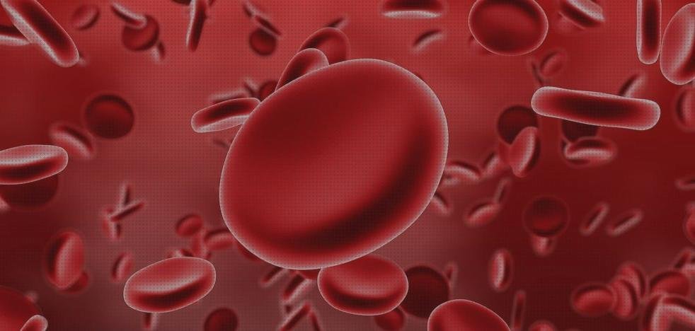 Las mejores ecografos ecografo rojo azul sangre