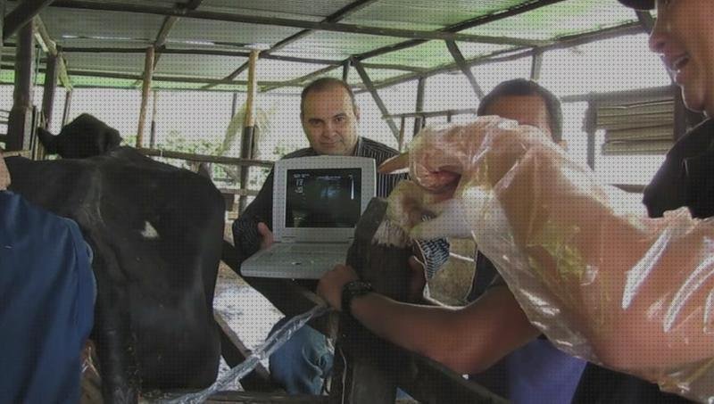 ¿Dónde poder comprar ecografos ecografo vacuno?