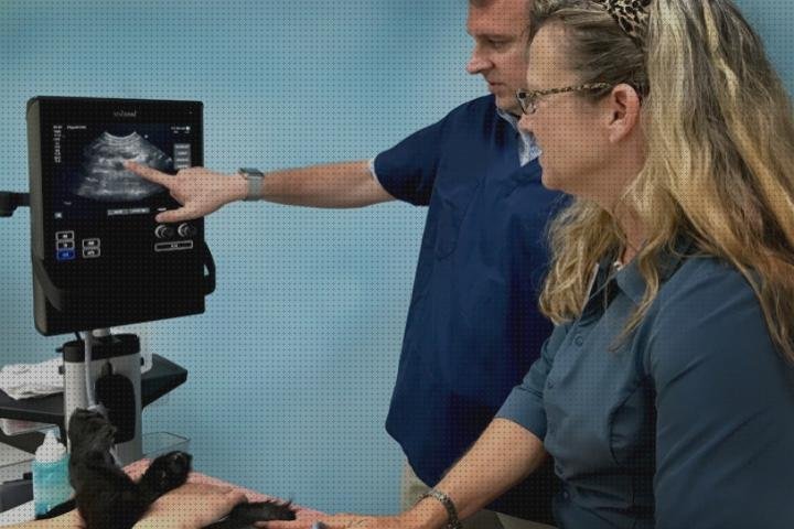 Review de ecografos veterinaria general electrico