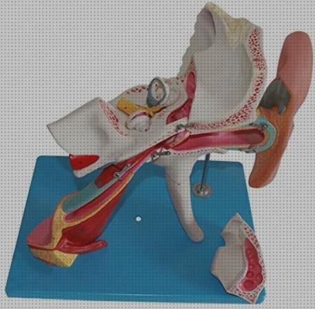 ¿Dónde poder comprar ruedas educacion?