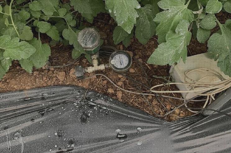 Los 8 Mejores electros tensiometros horticolas bajo análisis